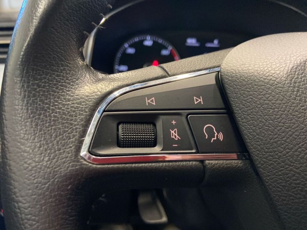 Seat Arona 2019 Hopea