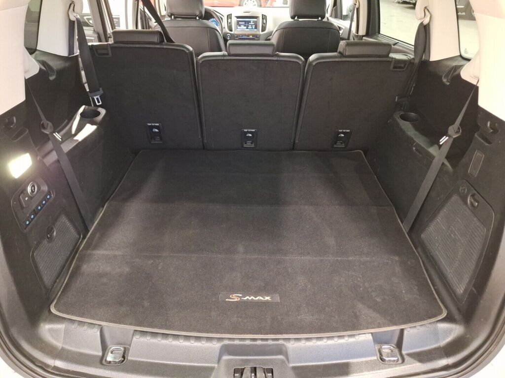 Ford S-Max 2015 Hopea