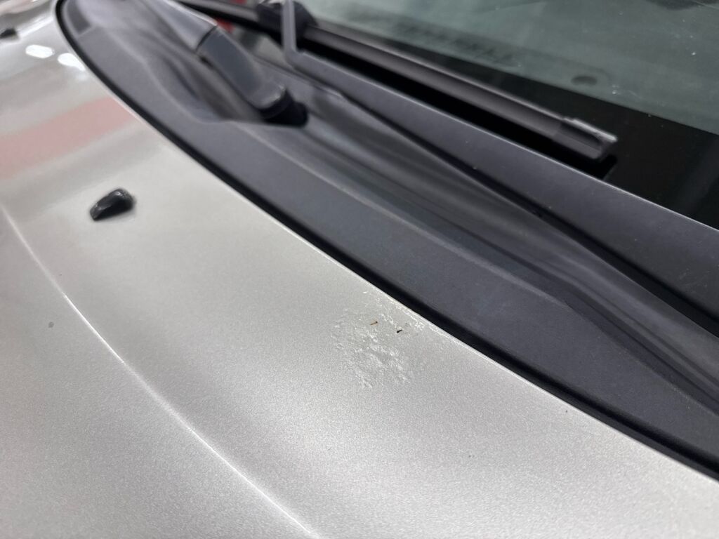 Toyota Corolla Verso 2002 Hopea