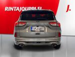 Ford Kuga 2022 Harmaa