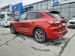 Ford Kuga 2022 Punainen