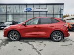 Ford Kuga 2022 Punainen