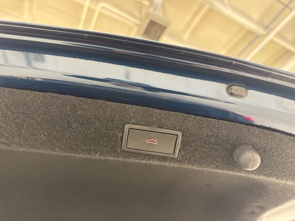 Skoda Octavia 2022 Sininen