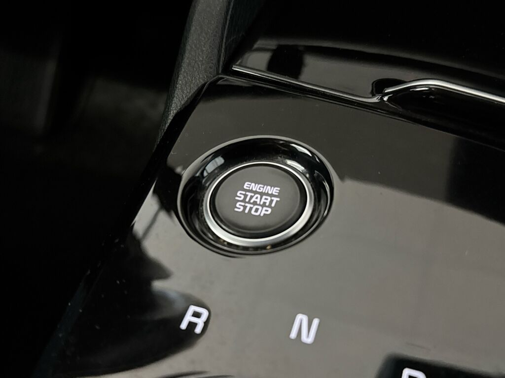 Kia Sportage 2023 Punainen