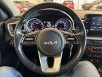 Kia Ceed 2023 Hopea
