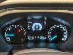 Ford Transit 2023 Musta