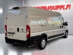 Fiat Ducato 2024 Valkoinen