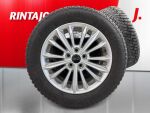 Ford Focus 2025 Punainen