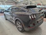 Ford Mustang Mach-E 2022 Musta