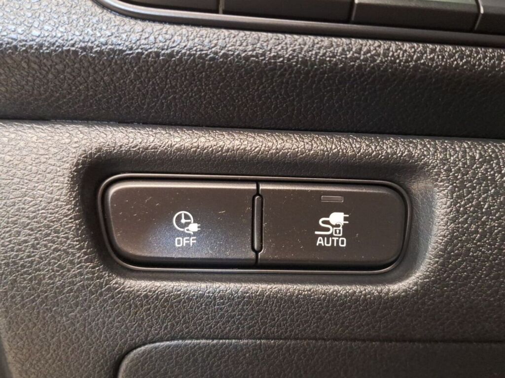 Kia Niro Electric 2020 Harmaa