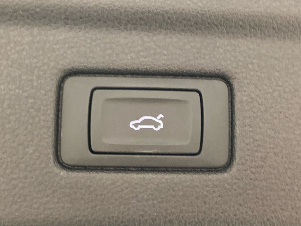 Audi A5 2020 Valkoinen