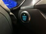 Ford Focus 2021 Punainen