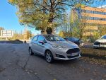 Ford Fiesta 2017 Harmaa