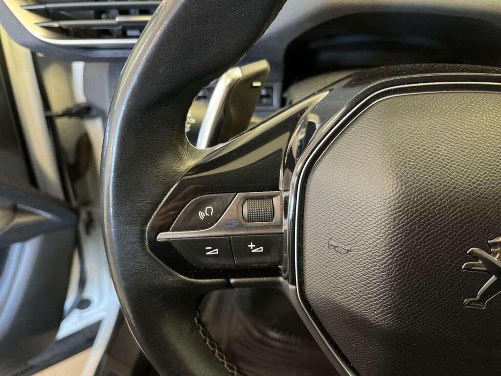 Peugeot 3008 2019 Valkoinen