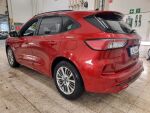 Ford Kuga 2020 Punainen