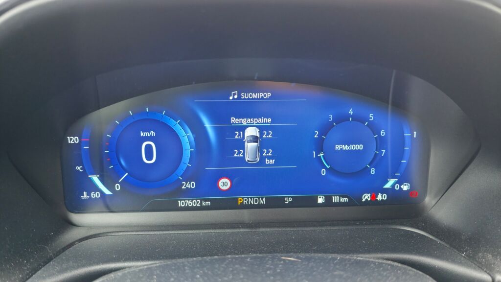 Ford Puma 2021 Harmaa