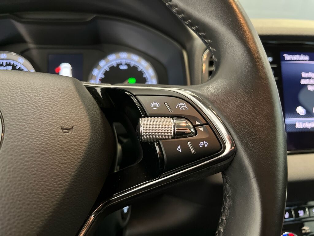 Skoda Karoq 2020 Sininen