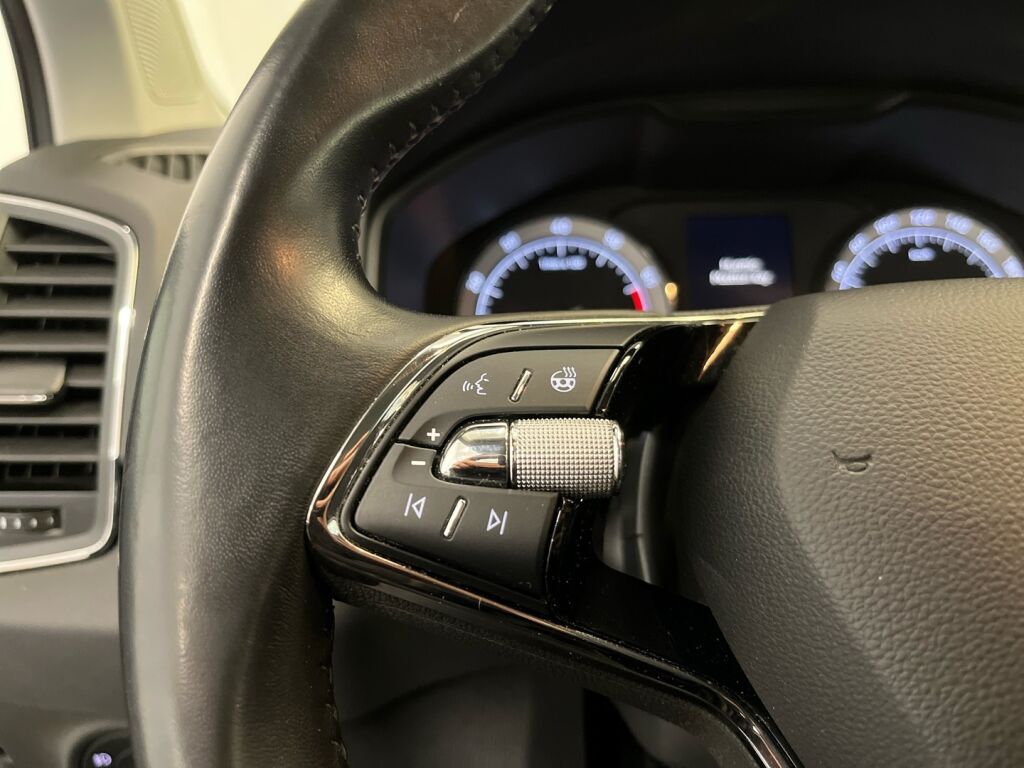 Skoda Karoq 2020 Sininen