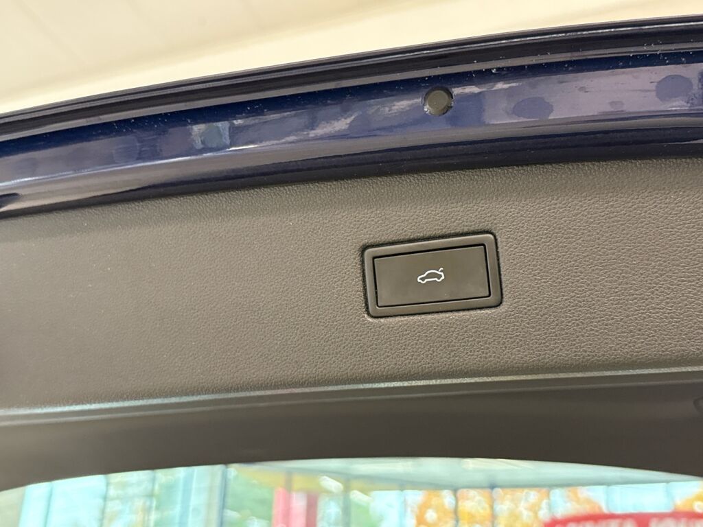 Seat Tarraco 2021 Sininen