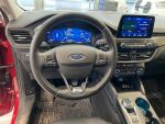 Ford Kuga 2021 Lucid Red