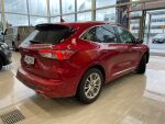 Ford Kuga 2021 Lucid Red