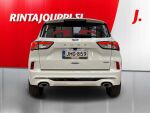 Ford Kuga 2021 Valkoinen