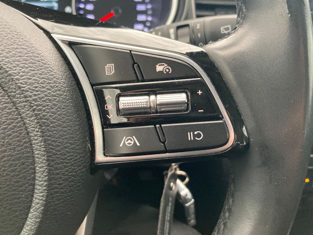 Kia Ceed 2023 Metallinhohto Hopea