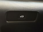 Polestar 2 2024 Harmaa