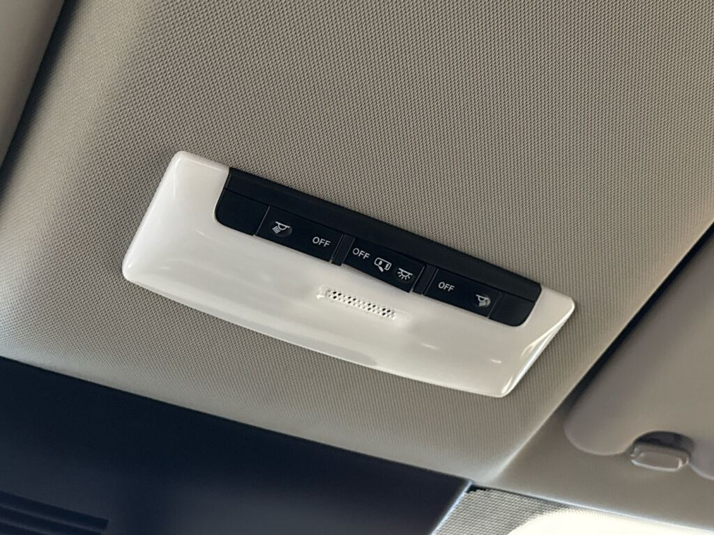 Nissan Leaf 2021 Punainen