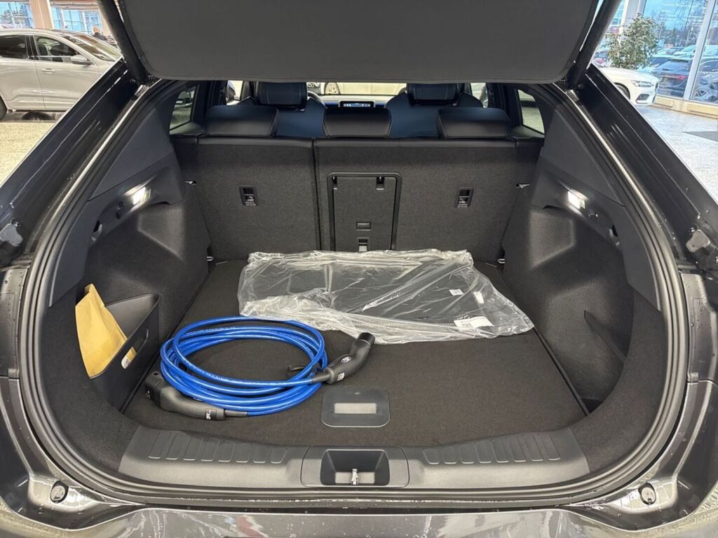 Ford Capri 2026 Magnetic