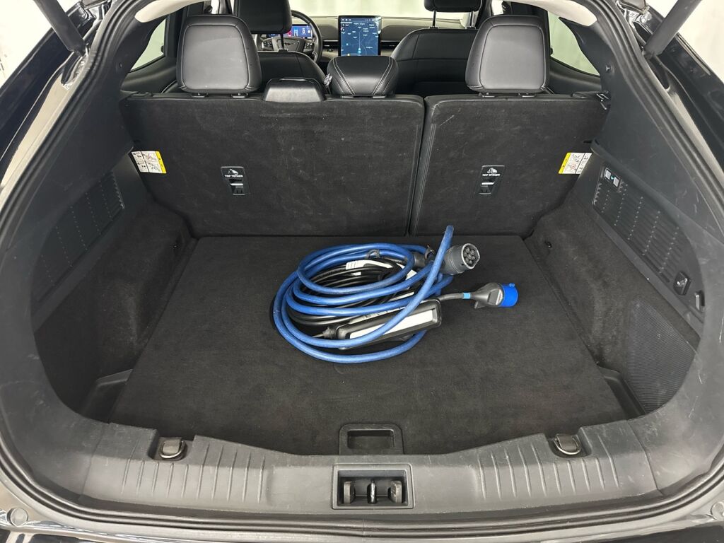 Ford Mustang Mach-E 2021 Väri