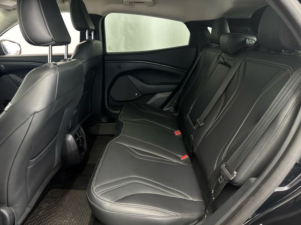 Ford Mustang Mach-E 2021 Väri