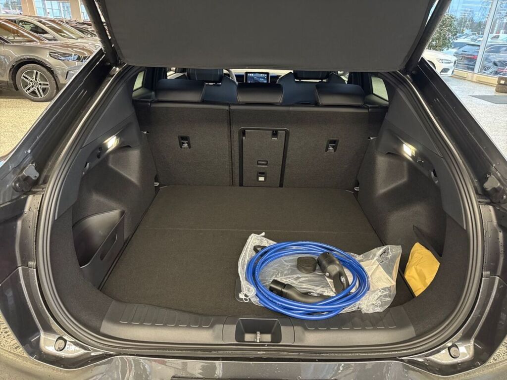 Ford Capri 2026 Magnetic