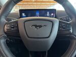 Ford Mustang Mach-E 2021 