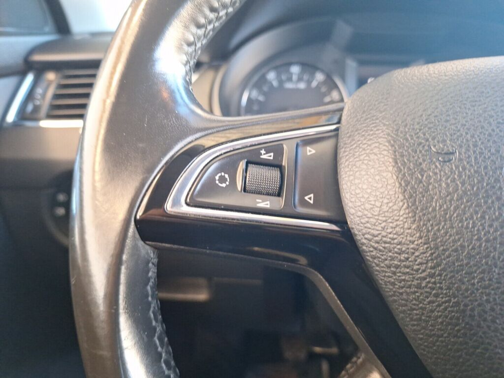 Skoda Octavia 2013 Ruskea (beige)