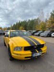 Ford Mustang 2005 Keltainen