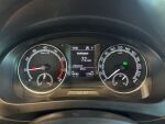 Skoda Rapid 2018 Harmaa