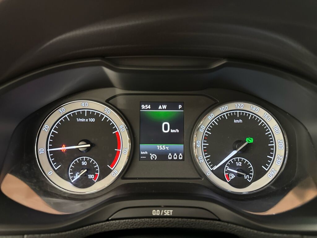 Skoda Karoq 2019 Harmaa