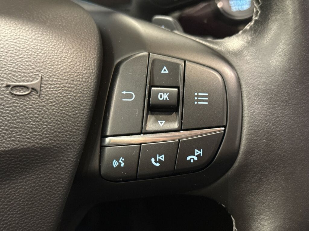 Ford Fiesta 2019 Sininen