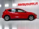 Ford Focus 2019 Punainen