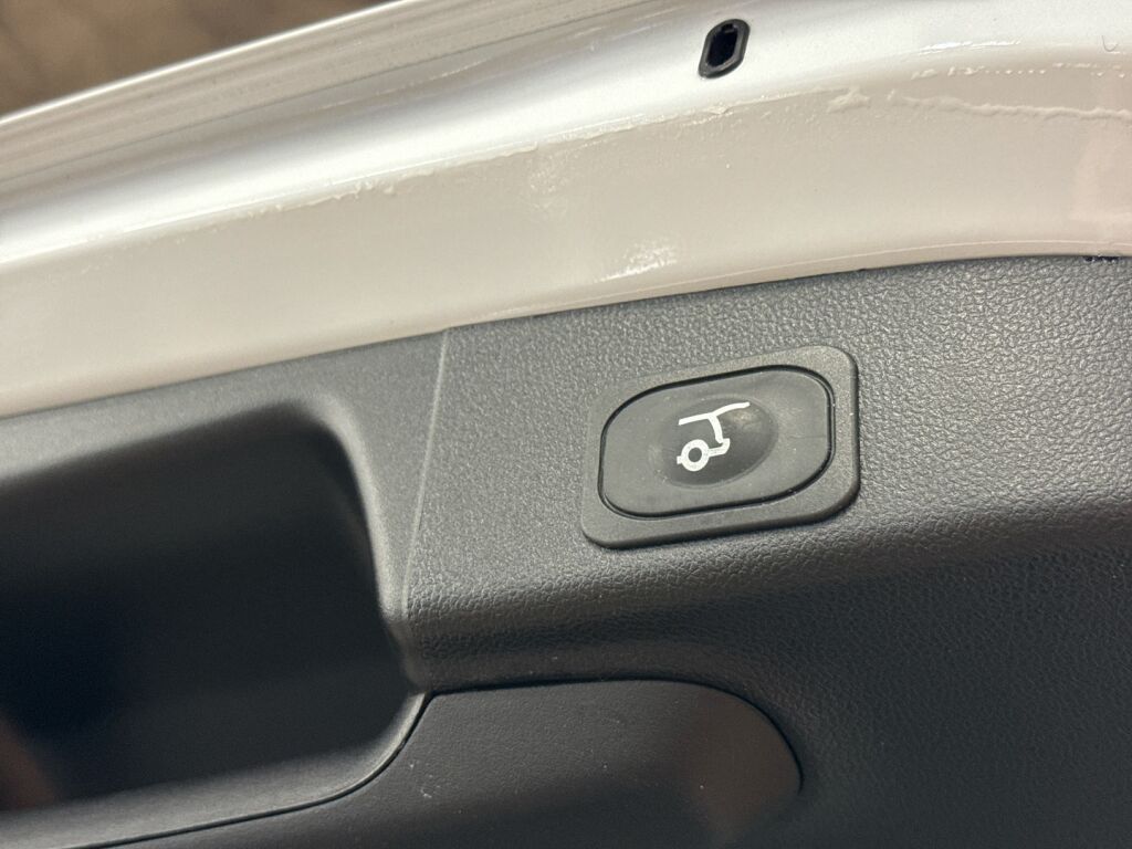 Ford Focus 2021 Valkoinen