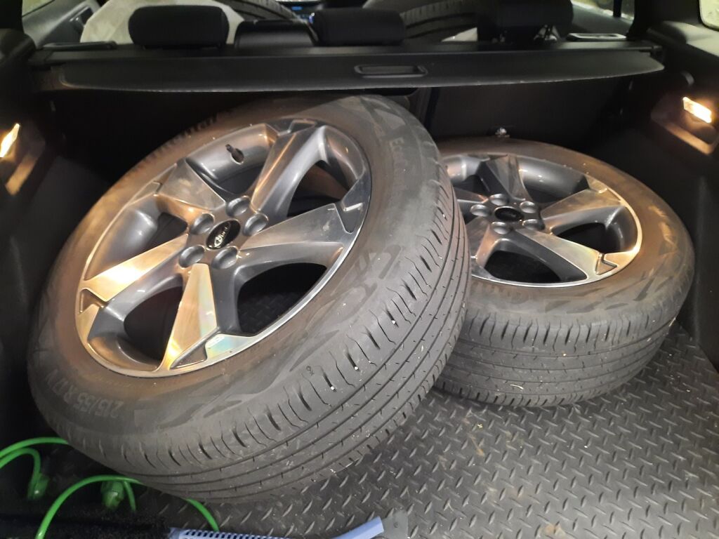 Ford Focus 2021 Sininen