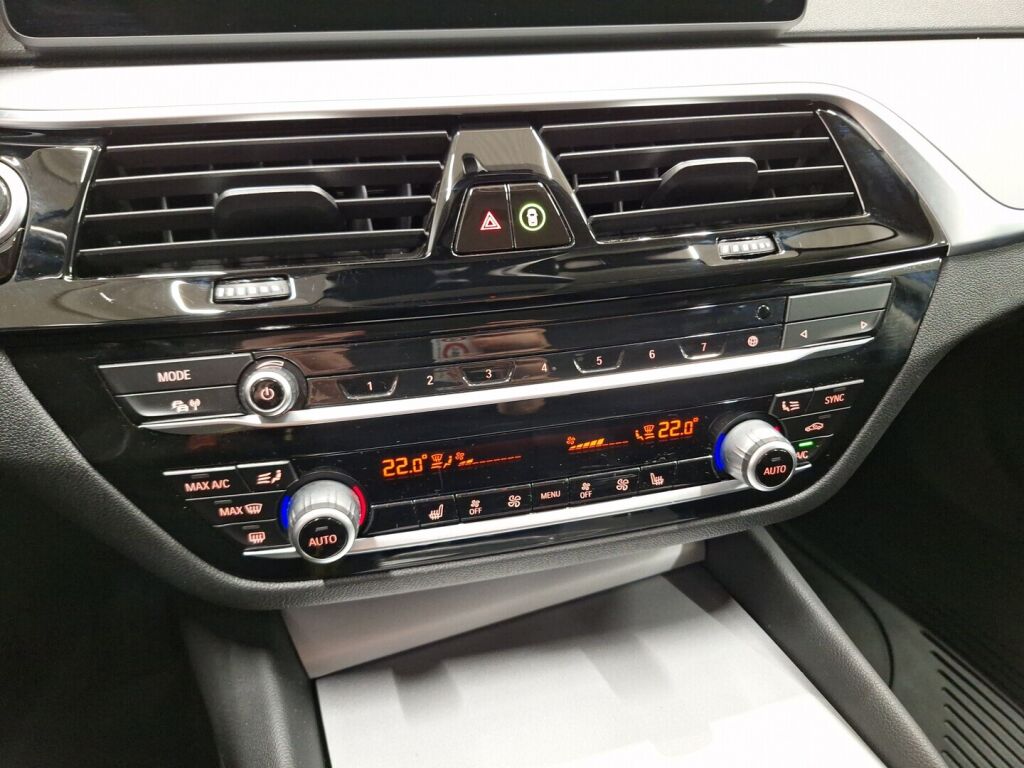 BMW 530 2021 Sininen