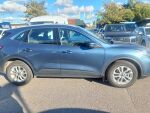 Ford Kuga 2021 Sininen