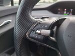Skoda Enyaq 2022 Harmaa