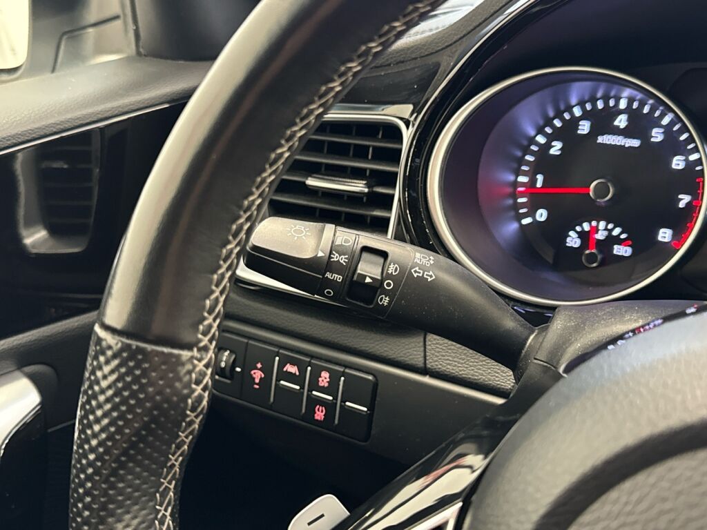 Kia ProCeed 2023 Valkoinen