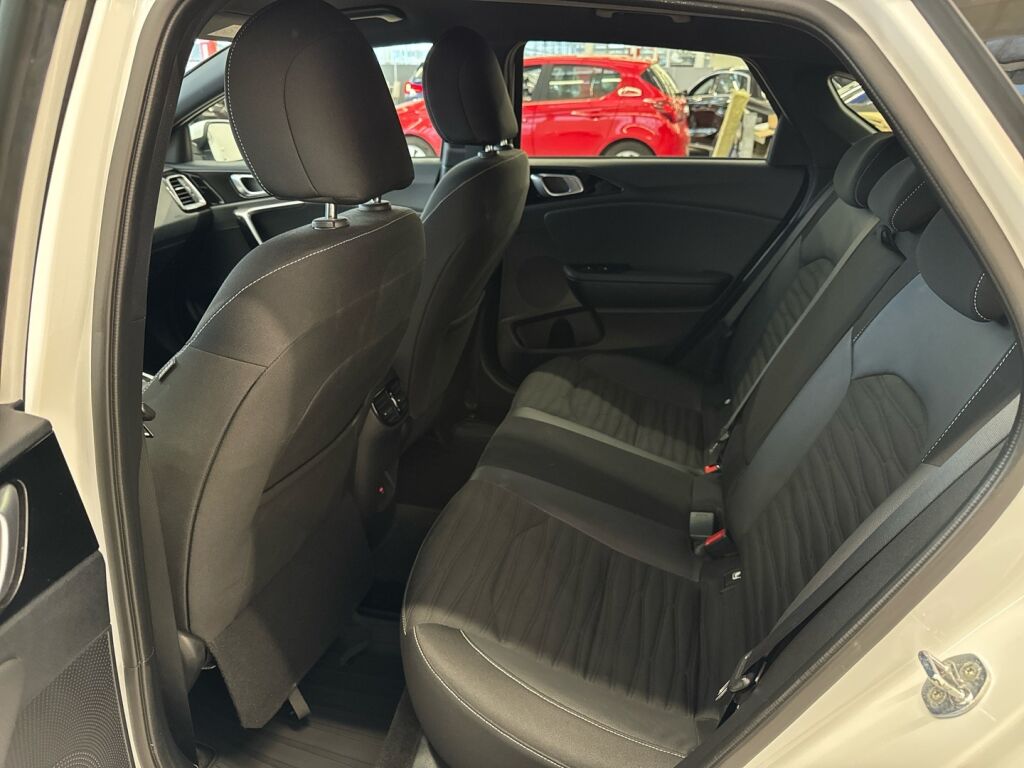 Kia ProCeed 2023 Valkoinen