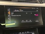 Audi e-tron 2021 Hopea