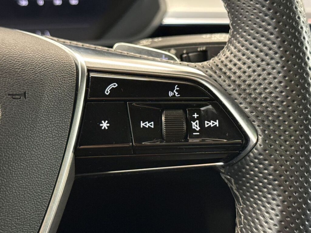 Audi e-tron 2021 Hopea