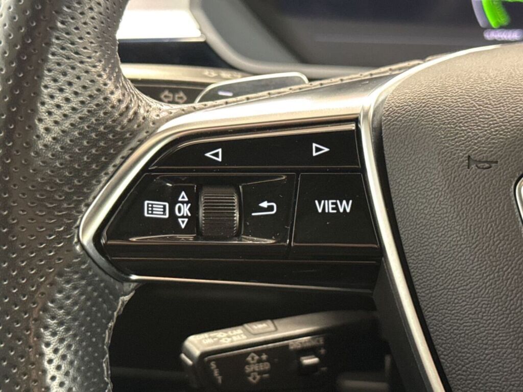 Audi e-tron 2021 Hopea